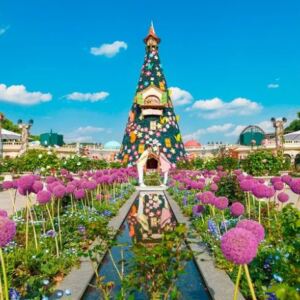 cong vien everland 2