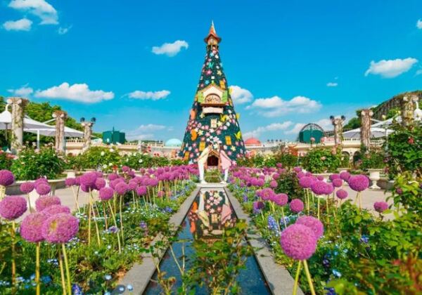 cong vien everland 2