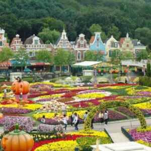 cong vien everland 3